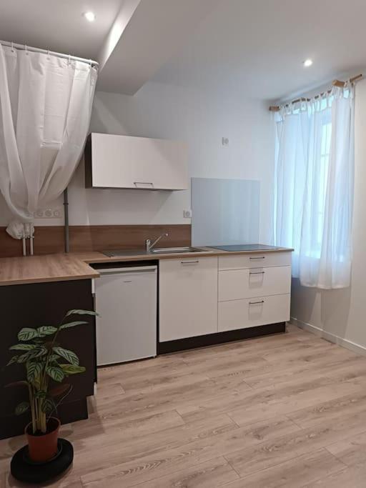 T2 Ultra Cosy En Hypercentre Appartement Tarare Buitenkant foto